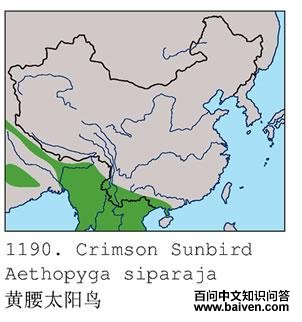 ����̫���񣺵����ֲ�ͼ