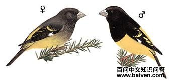 ����������ȸ����̬����ͼ