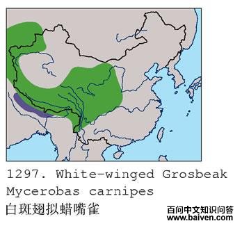 ����������ȸ�������ֲ�ͼ