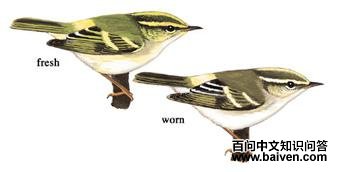 ������ݺ��̬����ͼ