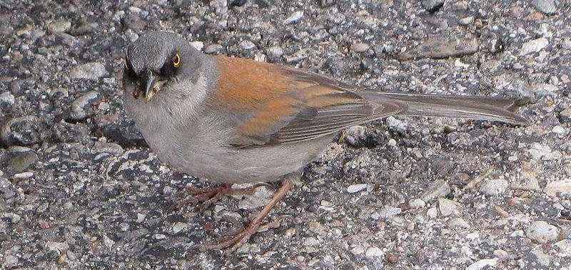 ���۵Ʋ��c