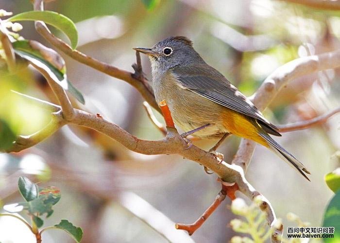 ������ɭݺ��ͼƬ