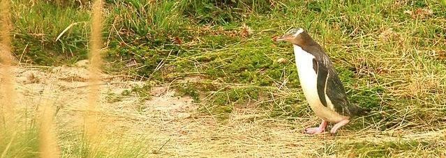 ��ɢ���Ļ������