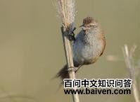 ������βȸ