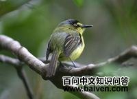 ���۰��l��ͼƬ