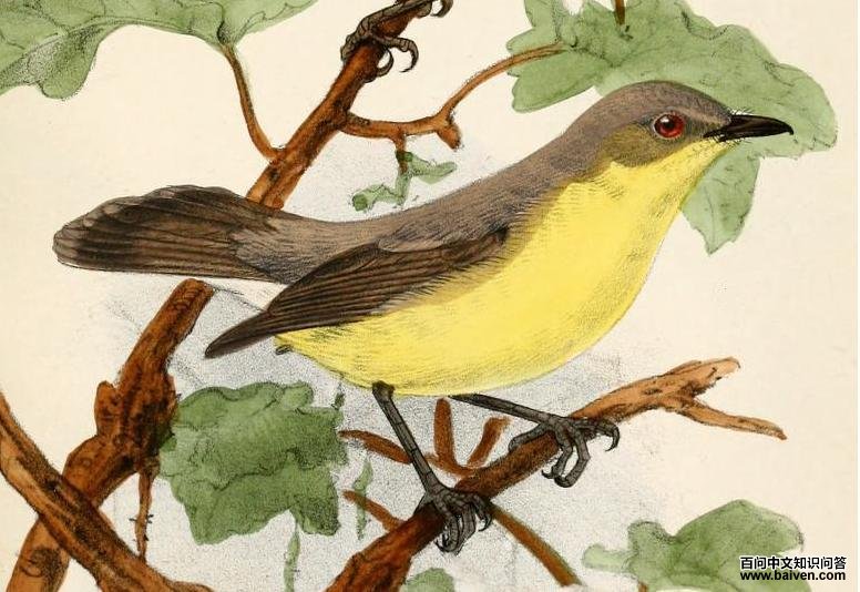 �������ݺ����̬����ͼ