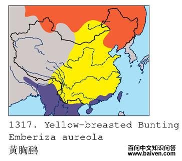 �����c�����ֲ�ͼ