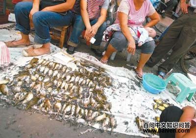 �����c���̻�ȸ���ڹ㶫�����ַ���