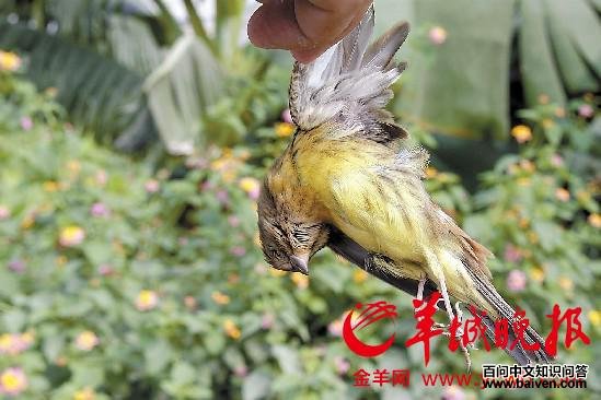 �����c������Ϊ���õ�����