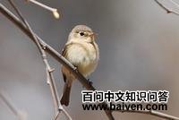 �����ư��l