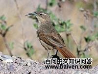 ��������ȸ��ͼƬ