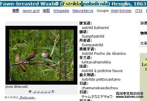 ����÷��ȸ��ͼƬ