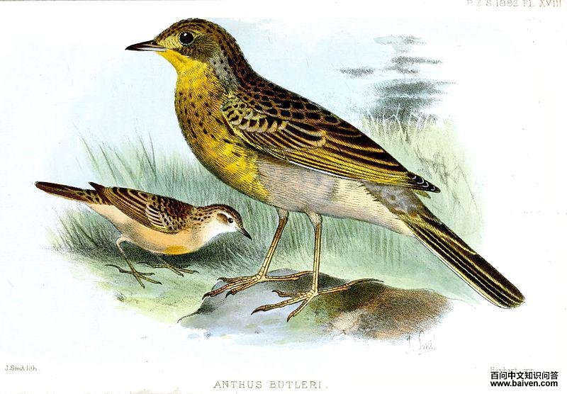 �����ҵ�ͼƬ