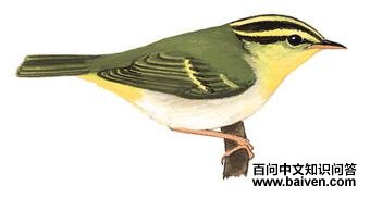 ������ݺ