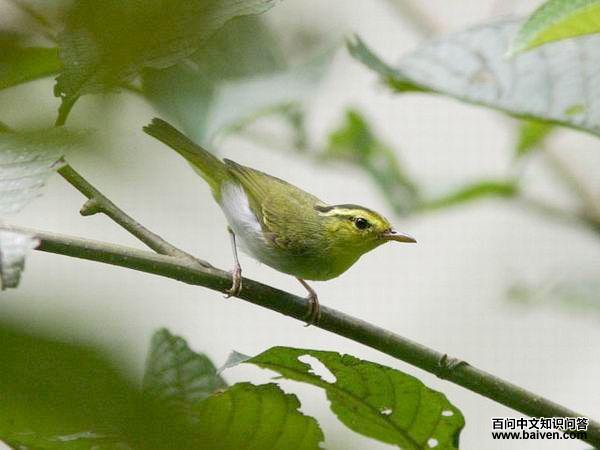 ������ݺ����������