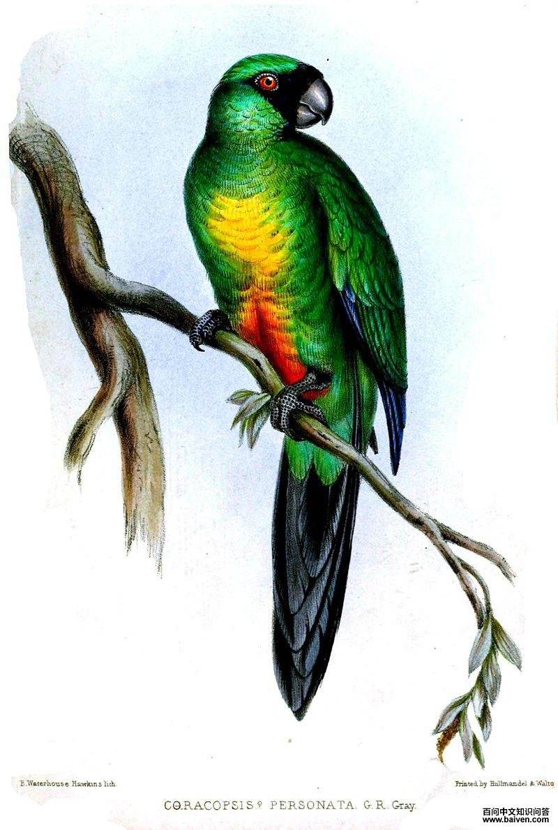 ���ػ����ĵ�ͼƬ