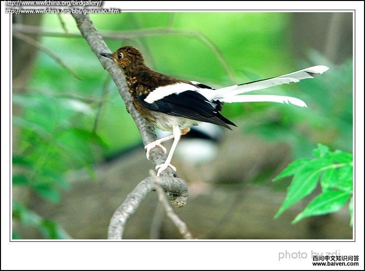 �׶���β���ǳ���