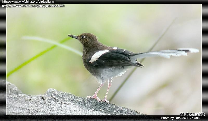 �׶���β���ǳ���