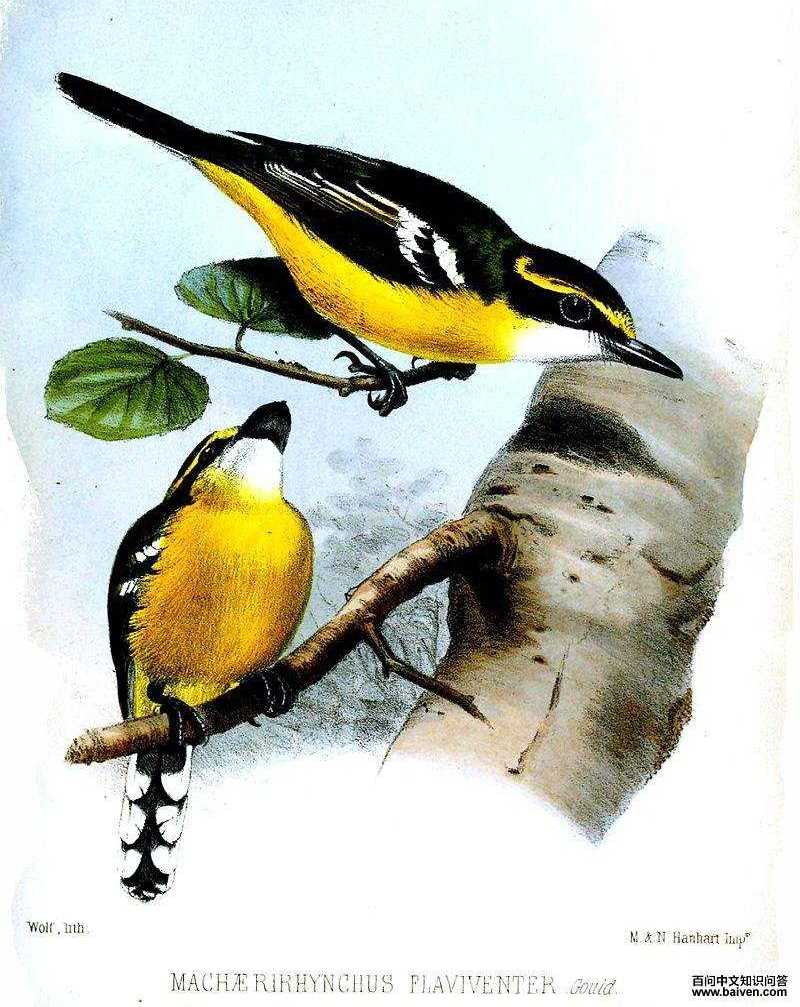 ���ش����l��ͼƬ