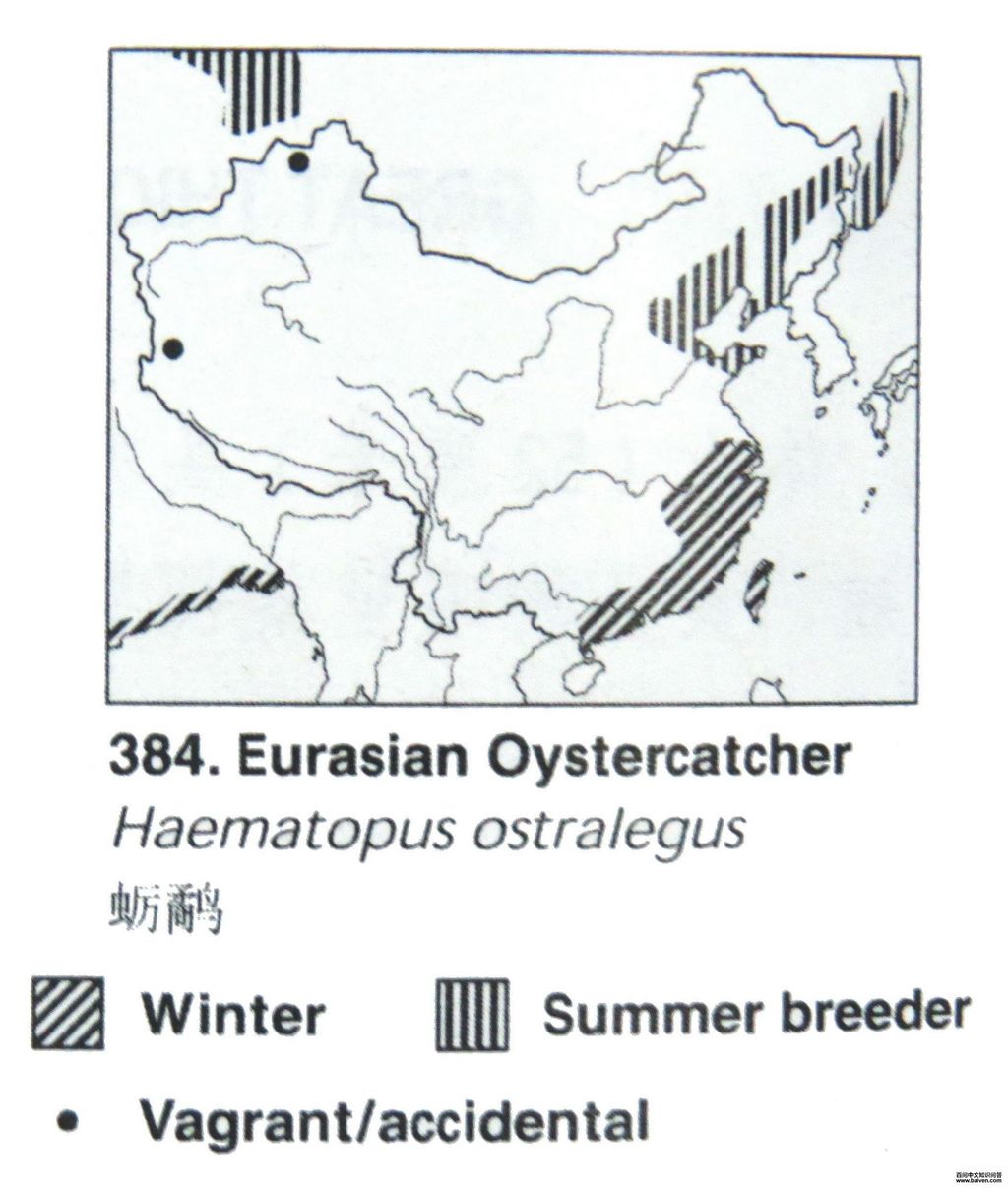 ���֣������ֲ�ͼ