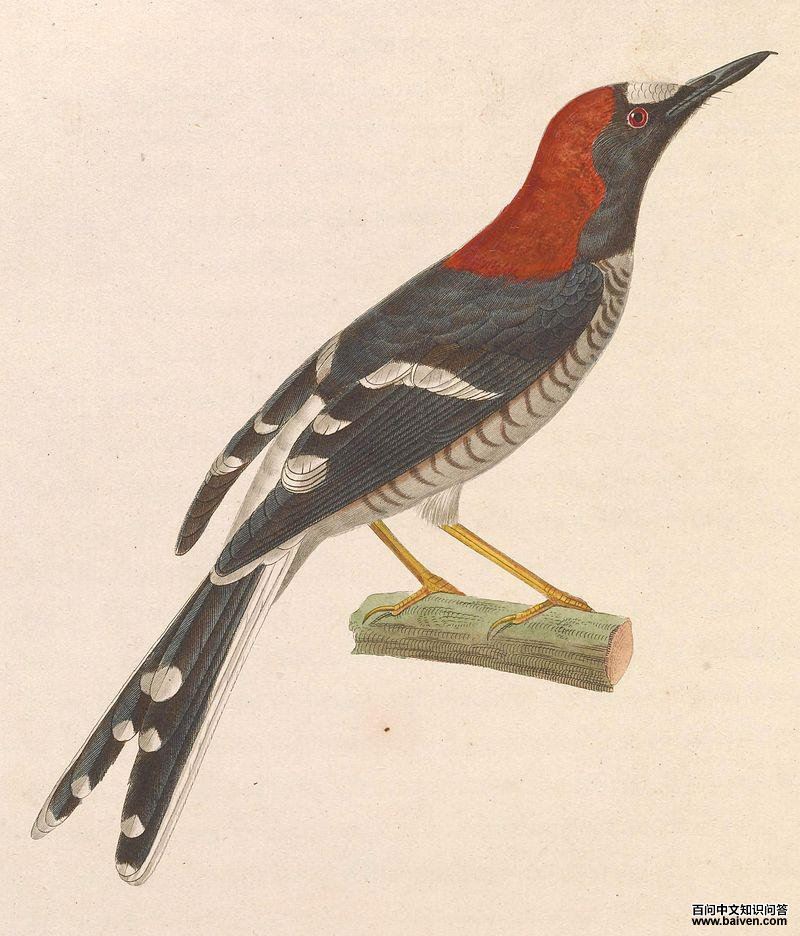 ������β����̬����ͼ