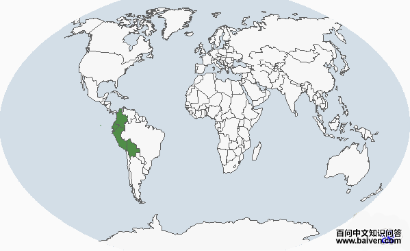 ���ظ�����