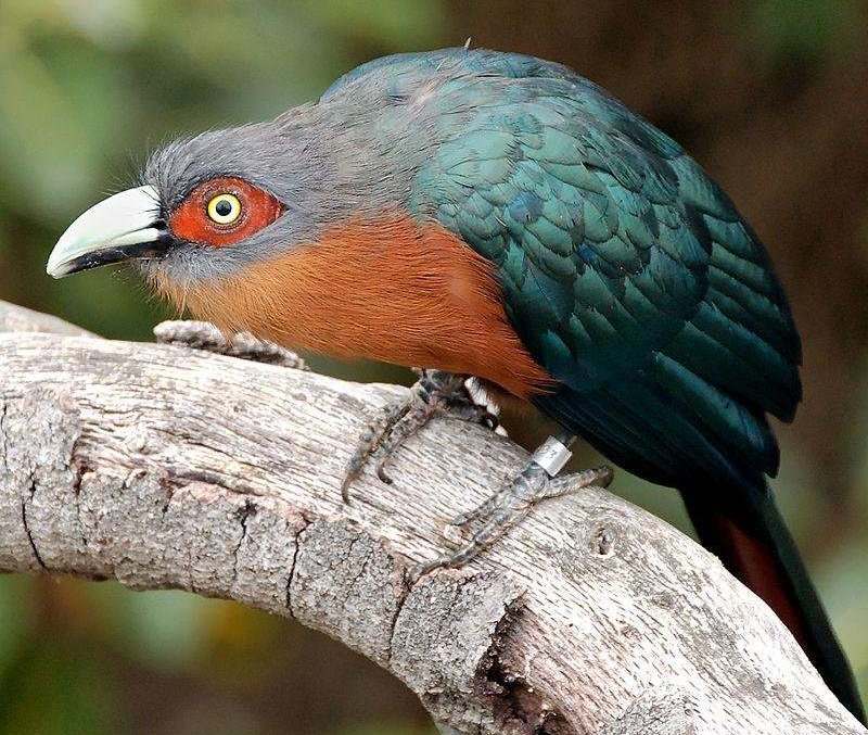 ���صؾ��ͼƬ