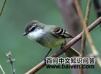 �׺������l