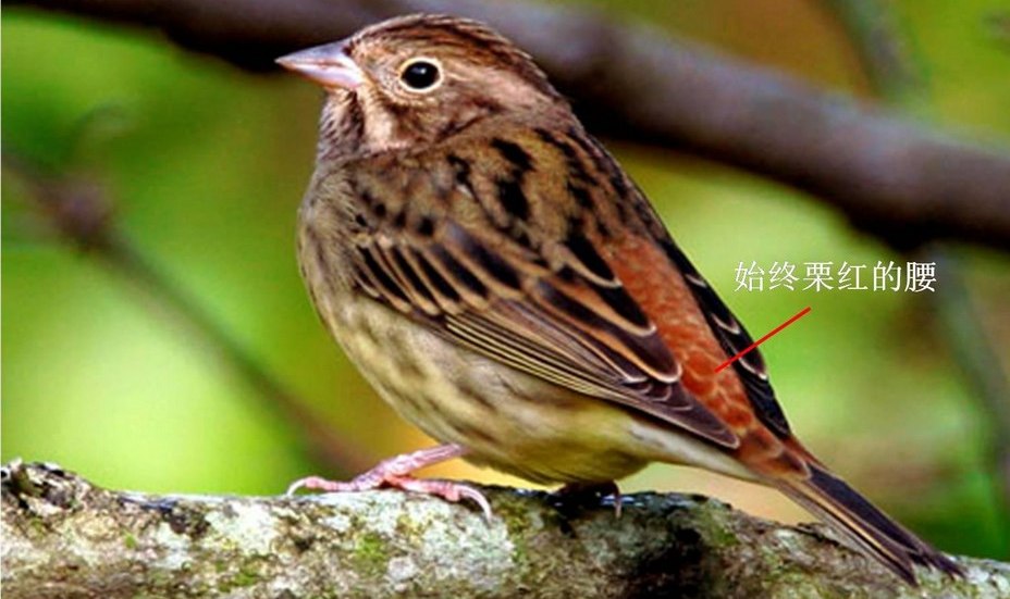 ���c����ʼ���������