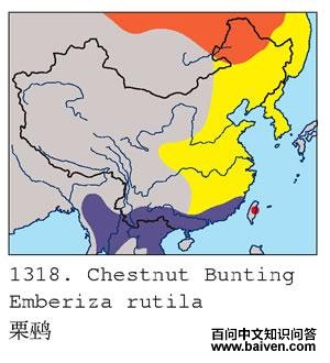 ���c�������ֲ�ͼ