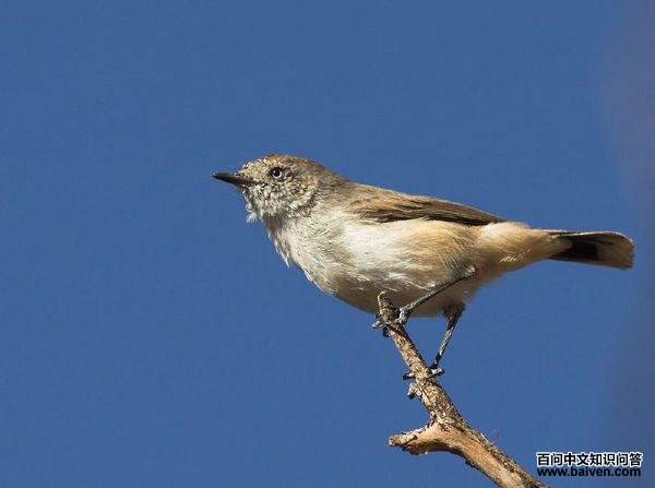 ��β����ݺ��ͼƬ