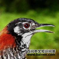 ��έ����