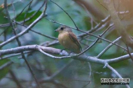 ������l��ͼƬ