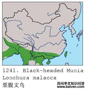 ������������ֲ�ͼ