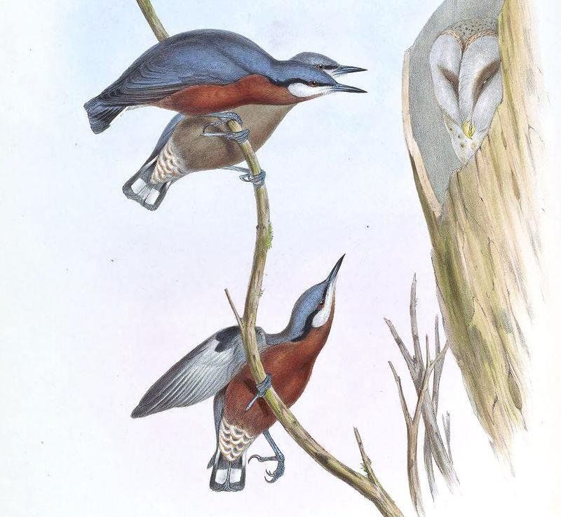 �����[����̬����ͼ