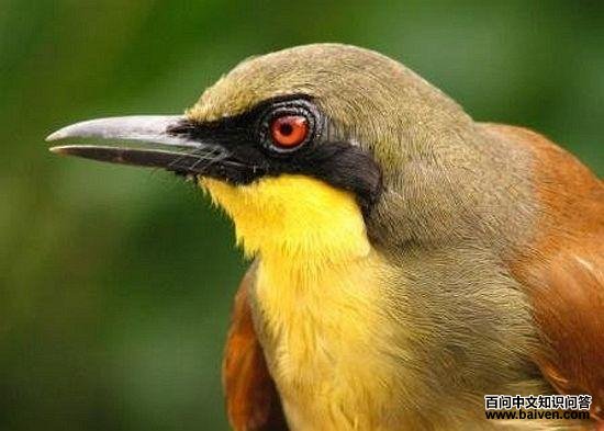 �������̵�ͼƬ