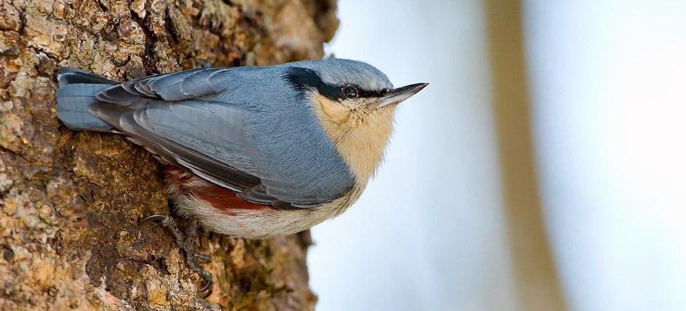 �����[��ͼƬ