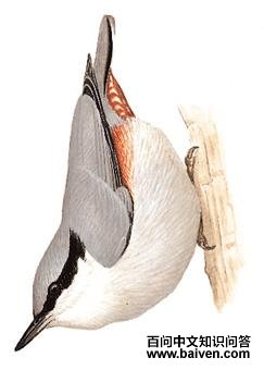 �����[����̬����ͼ