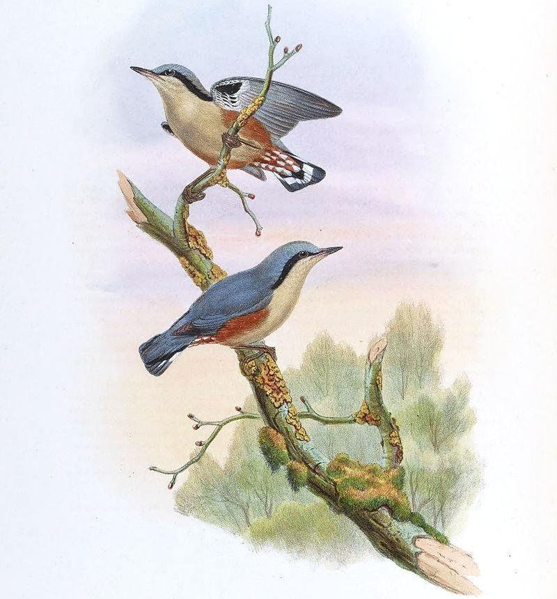 �����[����̬����ͼ