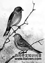 ��β����ȸ