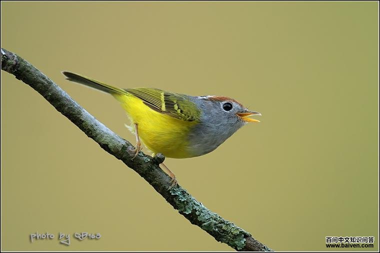 ��ͷ�lݺ����Ӱqb168