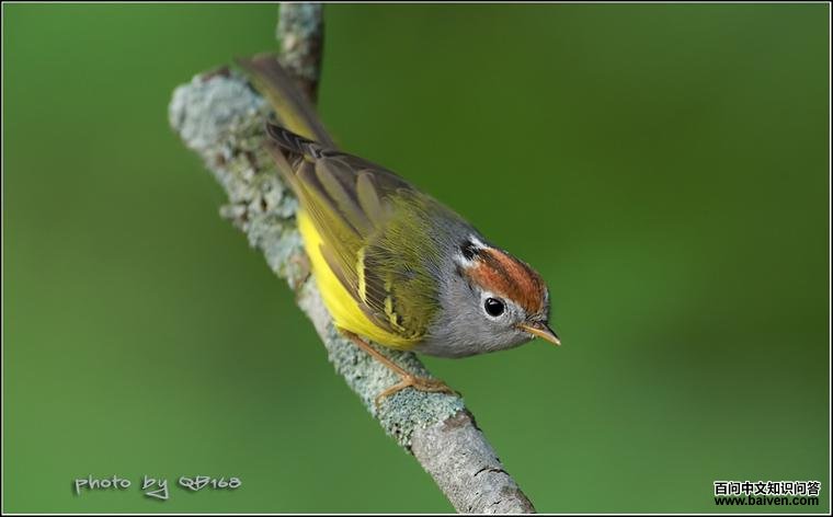 ��ͷ�lݺ����Ӱqb168