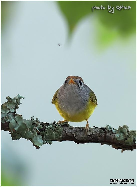 ��ͷ�lݺ����Ӱqb168