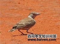 ��ͷȸ����