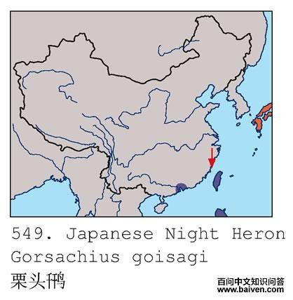 ��ͷ�Z�������ֲ�ͼ