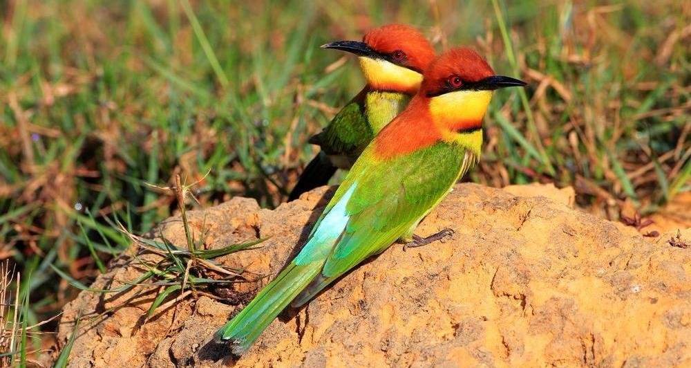 ��ͷ�仢��ͼƬ