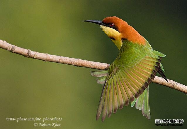 ��ͷ�仢�������������ǣ�