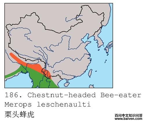 ��ͷ�仢�������ֲ�ͼ