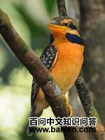 ��������ͼƬ