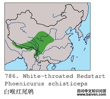 �׺���β�����ֲ�ͼ